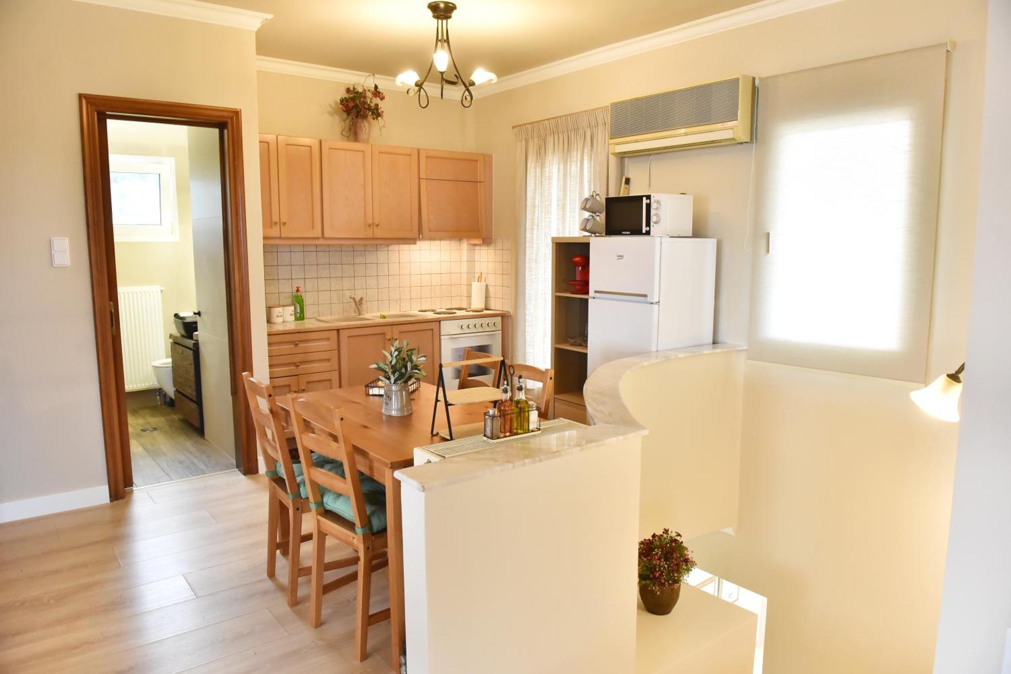 Palio Apartment Palaiontsiflikion